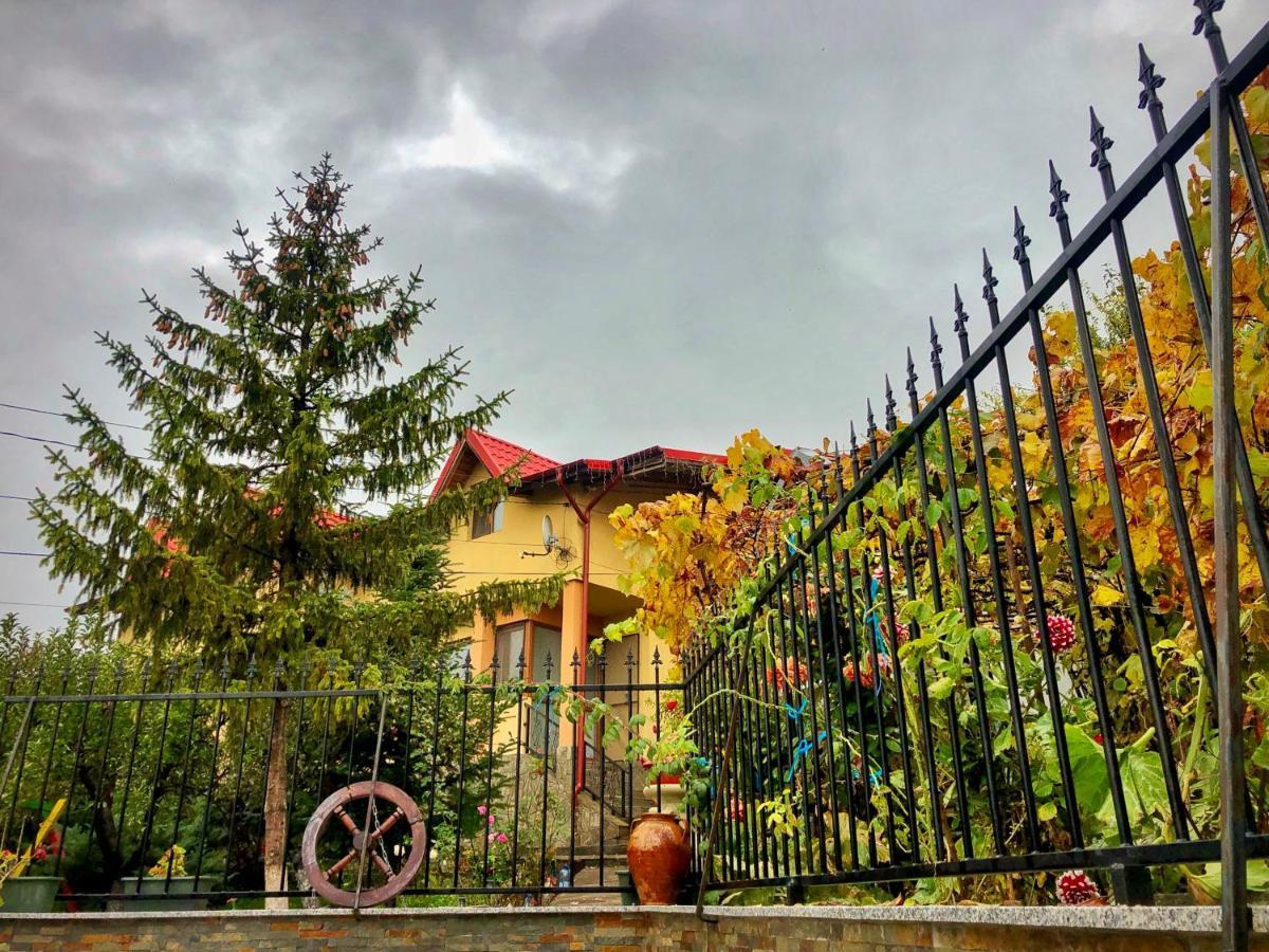 Pensiunea Portas Resort Slănic Dış mekan fotoğraf
