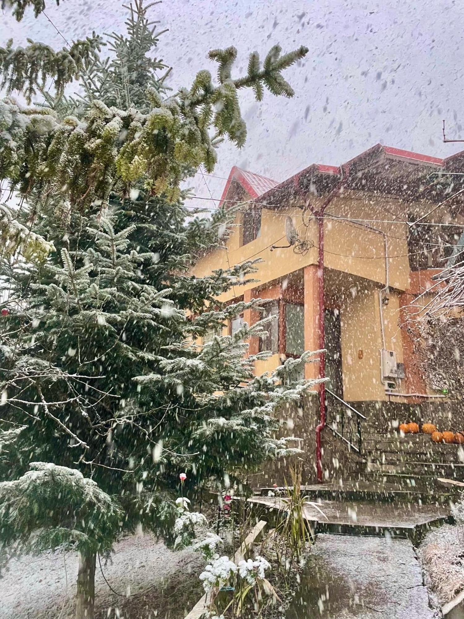Pensiunea Portas Resort Slănic Dış mekan fotoğraf